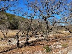 Texas Hill Country Real Estate