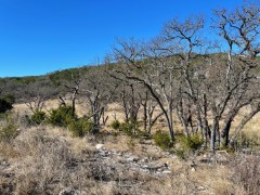 Texas Hill Country Real Estate