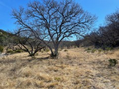 Texas Hill Country Real Estate