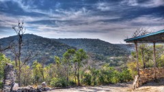 Solid Rock Real Estate