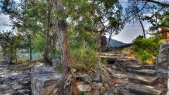 Solid Rock Real Estate