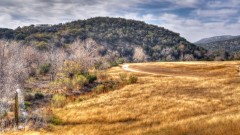 Solid Rock Real Estate