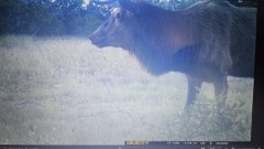 Solid Rock Real Estate