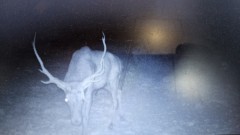 Solid Rock Real Estate