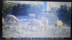 Solid Rock Real Estate