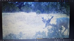 Solid Rock Real Estate