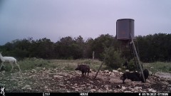 Solid Rock Real Estate