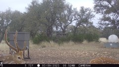 Solid Rock Real Estate