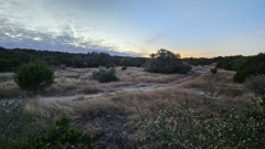 Solid Rock Real Estate