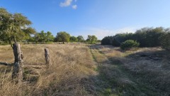 Solid Rock Real Estate