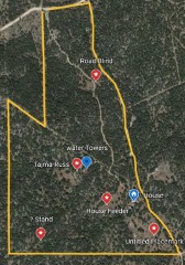 Solid Rock Real Estate