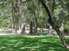 Solid Rock Real Estate