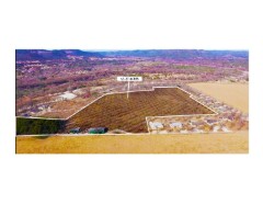 Solid Rock Real Estate