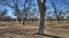 Solid Rock Real Estate