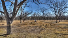 Solid Rock Real Estate