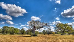 Solid Rock Real Estate