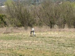 Solid Rock Real Estate