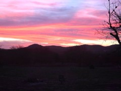 Solid Rock Real Estate