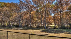 Solid Rock Real Estate