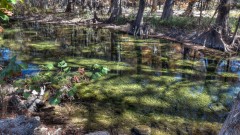 Solid Rock Real Estate