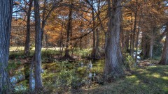 Solid Rock Real Estate