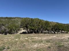 Solid Rock Real Estate