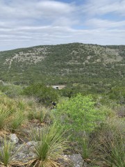 Solid Rock Real Estate