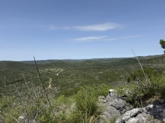 Solid Rock Real Estate