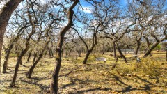 Solid Rock Real Estate