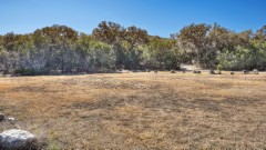 Solid Rock Real Estate